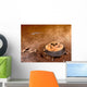 Artist's Concept Area Surrounding Wall Decal