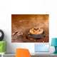 Artist's Concept Area Surrounding Wall Decal