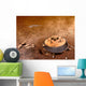 Artist's Concept Area Surrounding Wall Decal