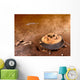 Artist's Concept Area Surrounding Wall Decal