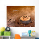 Artist's Concept Area Surrounding Wall Decal