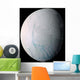Saturn's Moon Enceladus Wall Decal Design 5