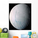Saturn's Moon Enceladus Wall Decal Design 5