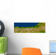 Alpine Fault along West Wall Decal