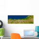 Alpine Fault along West Wall Decal