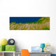 Alpine Fault along West Wall Decal