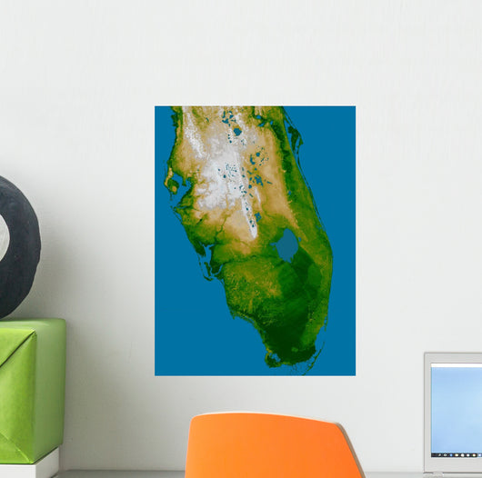 Southern Florida Wall Decal
