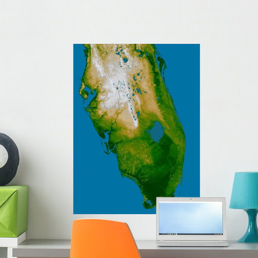 Southern Florida Wall Decal