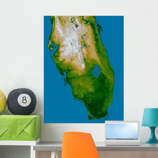 Southern Florida Wall Decal