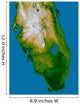 Southern Florida Wall Decal