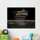 Mars Reconnaissance Orbiter's Radar Wall Decal
