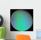 False Color Saturn's Moon Wall Decal