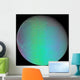 False Color Saturn's Moon Wall Decal