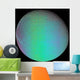 False Color Saturn's Moon Wall Decal