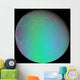 False Color Saturn's Moon Wall Decal
