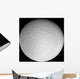 Saturn's Icy Moon Rhea Wall Decal