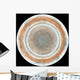 Color Map Jupiter Wall Decal Design 1