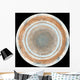 Color Map Jupiter Wall Decal Design 1