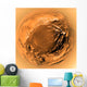 Fish-eye Titan's Surface Wall Decal