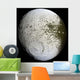 Saturn's Moon Iapetus Wall Decal Design 1