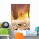Martian South Polar Ice Wall Decal