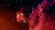 Young Stars Emerge from Wall Decal