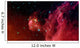 Young Stars Emerge from Wall Decal