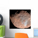 Mars Moon Phobos Wall Decal Design 2