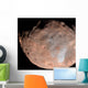 Mars Moon Phobos Wall Decal Design 2