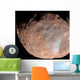 Mars Moon Phobos Wall Decal Design 2
