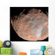 Mars Moon Phobos Wall Decal Design 2