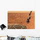 Phoenix Mars Lander S Wall Decal