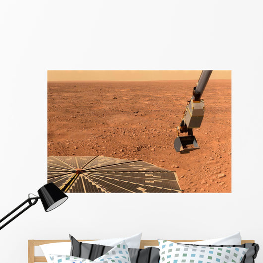 Phoenix Mars Lander S Wall Decal