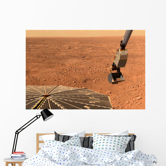 Phoenix Mars Lander S Wall Decal