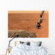 Phoenix Mars Lander S Wall Decal