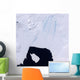 Pine Island Glacier Wall Decal
