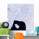 Pine Island Glacier Wall Decal