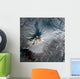 Shiveluch Volcano Russia Wall Decal
