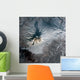 Shiveluch Volcano Russia Wall Decal