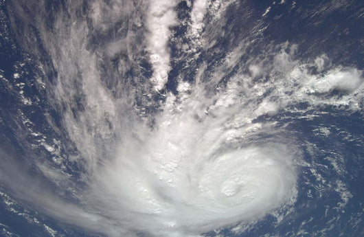 Hurricane Bertha Wall Decal Design 2