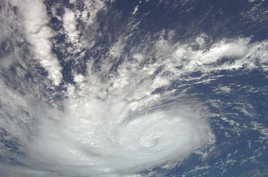 Hurricane Bertha Wall Decal Design 1