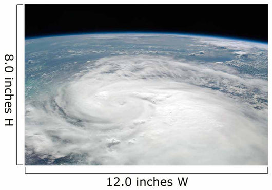 Tropical Storm Fay Wall Decal Design 5
