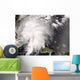 Tropical Storm Fay Wall Decal Design 4