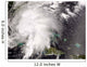Tropical Storm Fay Wall Decal Design 4