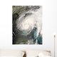 Tropical Storm Fay Wall Decal Design 3