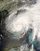 Tropical Storm Fay Wall Decal Design 3
