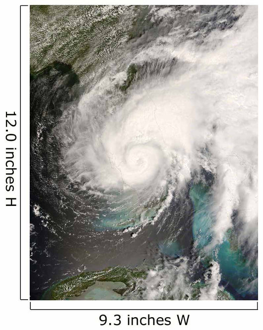 Tropical Storm Fay Wall Decal Design 3