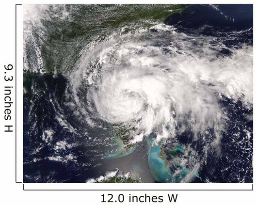 Tropical Storm Fay Wall Decal Design 2