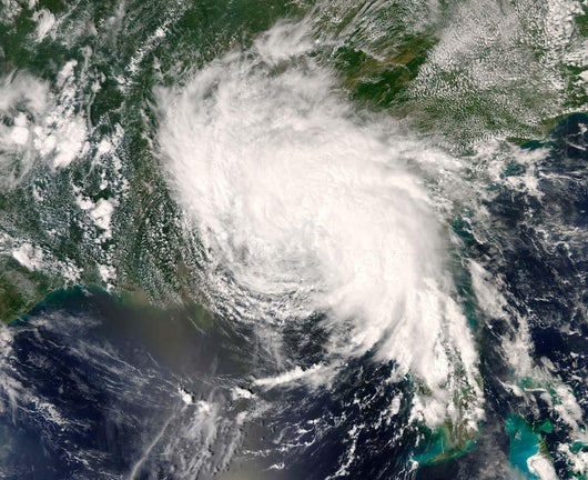 Tropical Storm Fay Ver Wall Decal