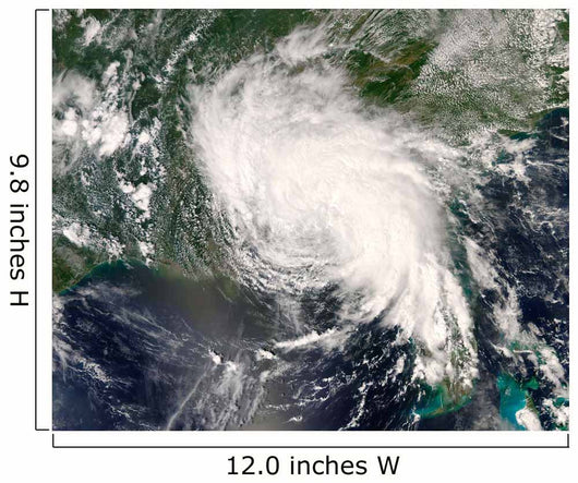 Tropical Storm Fay Ver Wall Decal